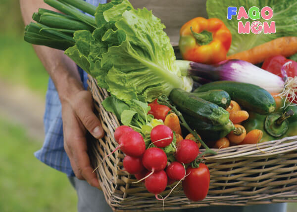Lựa chọn các loại rau củ theo mùa để đảm bảo an toàn thực phẩm