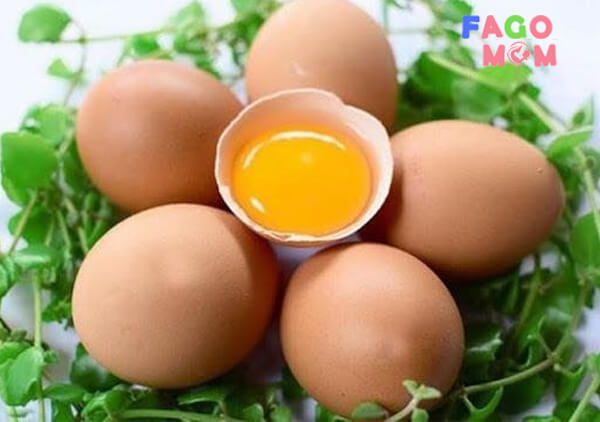 Trứng là nguồn thực phẩm giàu protein