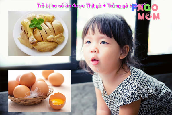  Trẻ có được ăn thịt gà + trứng gà khi bị ho không?