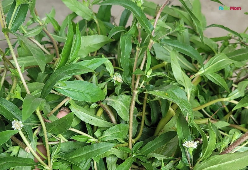 Chuẩn bị nguyên liệu và dụng cụ