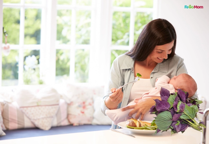 Lập kế hoạch bữa ăn và lời khuyên từ chuyên gia