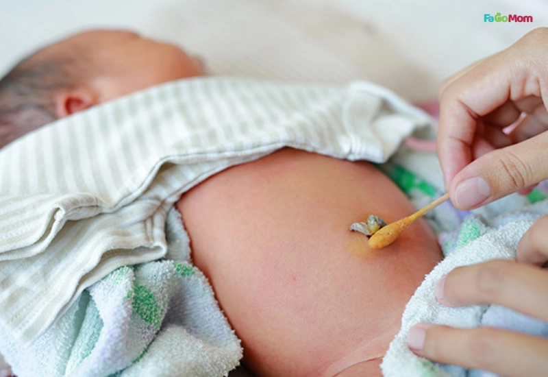 Chăm sóc rốn trong quá trình tắm và khi rốn chưa rụng