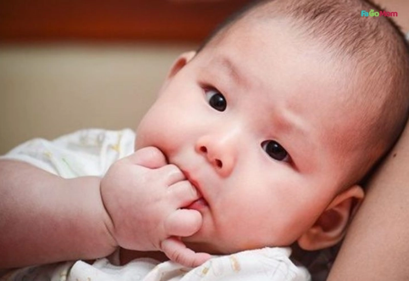 Dấu hiệu bé đưa tay lên miệng, mút tay là bé sẵn sàng bú