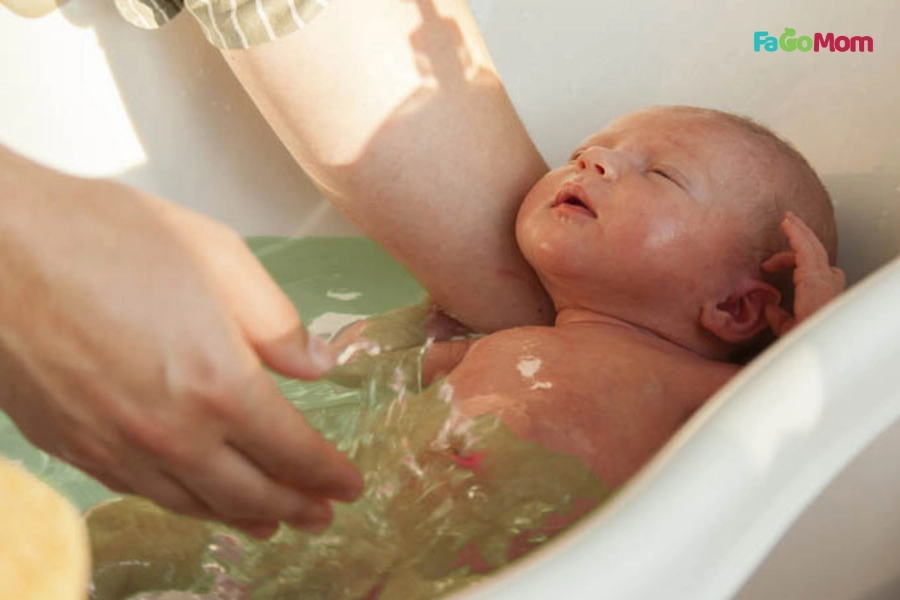 Các Loại Lá Tắm Cho Bé Sơ Sinh Và Trẻ Nhỏ Giảm Rôm Sảy An Toàn