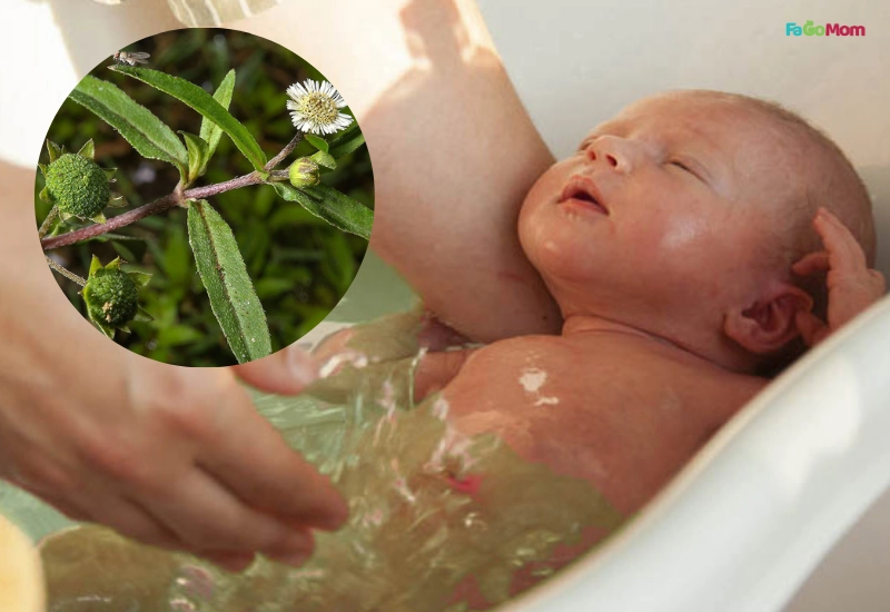 Lợi ích và rủi ro tiềm ẩn khi tắm cỏ mực cho bé sơ sinh