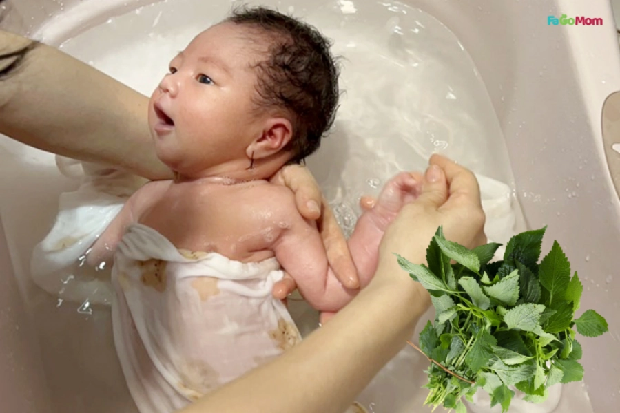 Các Loại Lá Tắm Cho Bé Sơ Sinh Và Trẻ Nhỏ Giảm Rôm Sảy An Toàn
