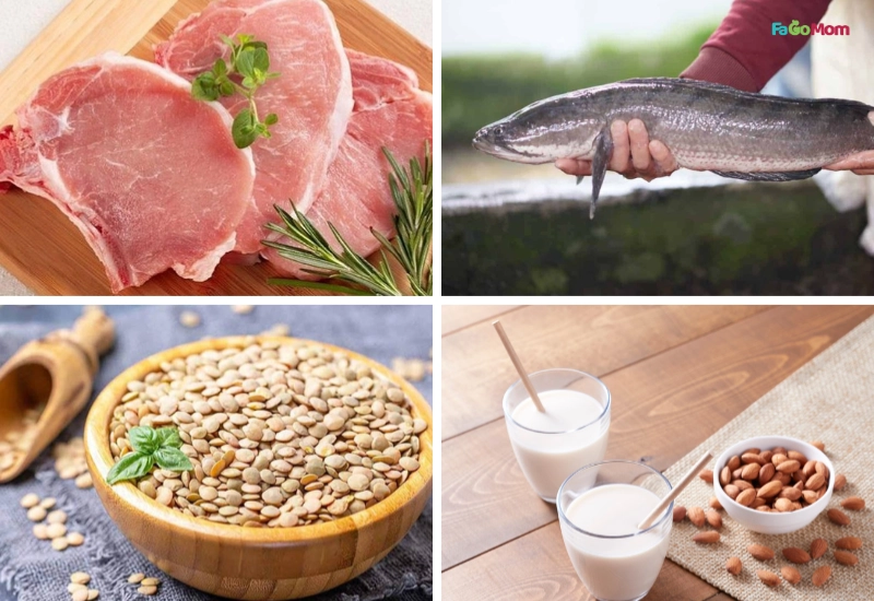 Thực phẩm giàu protein