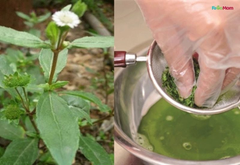 Cách đun nước tắm