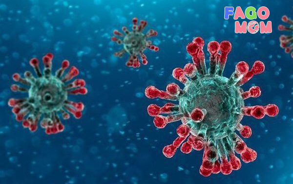 Virus Corona là gì? Biểu hiện virus corona? Cách phòng bệnh