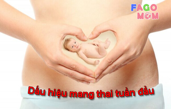 Dấu hiệu mang thai tuần đầu và cách kiểm tra