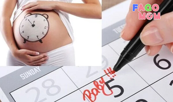 Cách tính tuổi thai IVF chuẩn, an toàn các mẹ nên biết