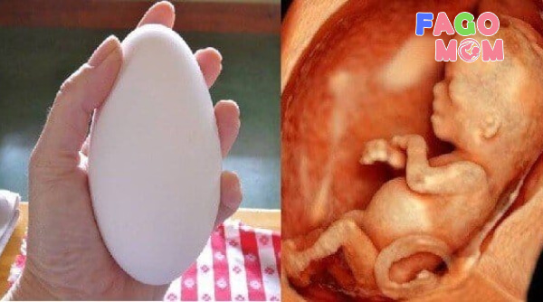 Ăn trứng ngỗng có tốt cho thai nhi không?
