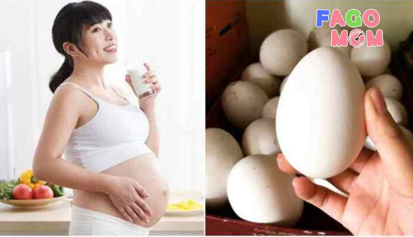 Ăn trứng ngỗng có thực sự tốt cho mẹ bầu