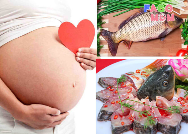 Phụ nữ có thai nên cẩn thận khi sử dụng cá chép