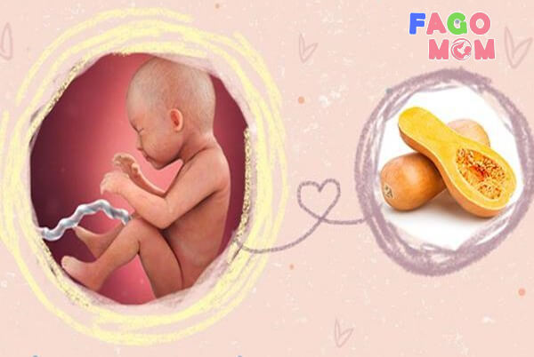 Дополнување на храна која е добра за видот на фетусот