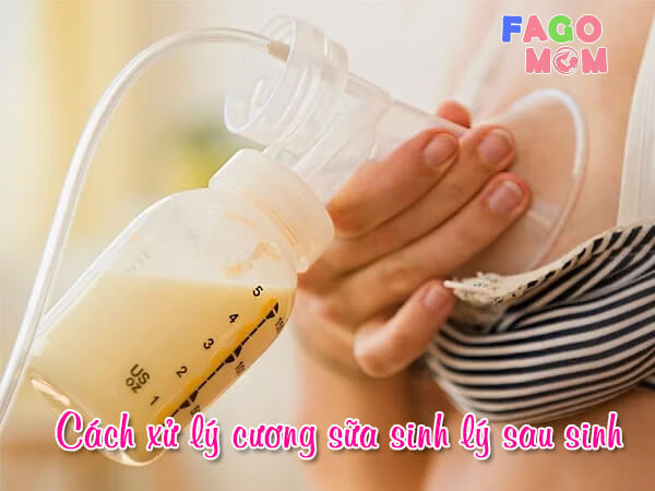 Hướng dẫn cách xử lý cương sữa sinh lý sau sinh