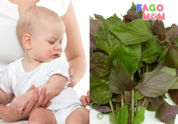 Có nên dùng hạt lá cho trẻ sơ sinh không?