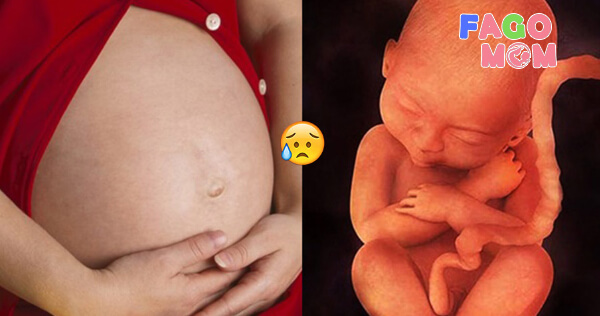 Lý do tại sao thai nhi không phát triển