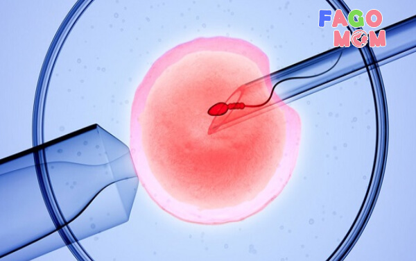 IVF-Thụ tinh nhân tạo trong ống nghiệm