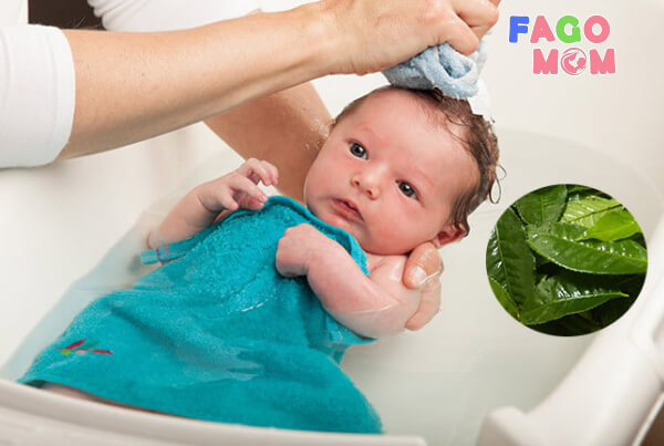 Một số lưu ý khi sử dụng lá trà xanh tắm cho trẻ sơ sinh