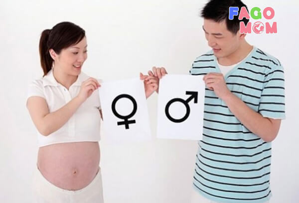 Mang thai con trai hay con gái dựa trên nhiễm sắc thể của người cha