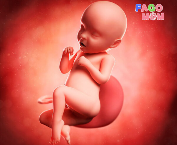 Nguy cơ trẻ chậm phát triển từ trong bụng mẹ