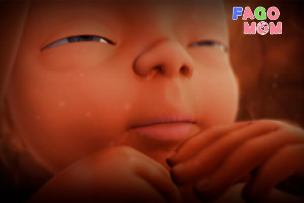 Фетусот почнува да ги отвора очите во 8-та недела, само во многу мал процент