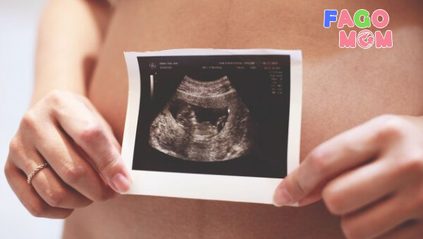 Siêu âm và xét nghiệm thai 2 tuần tuổi