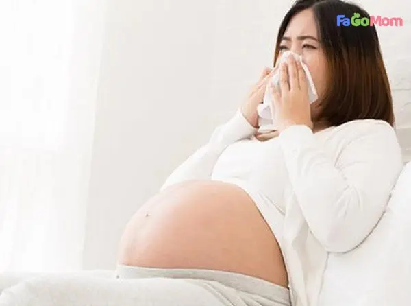 [Viêm mũi dị ứng khi mang thai] Những điều cần biết