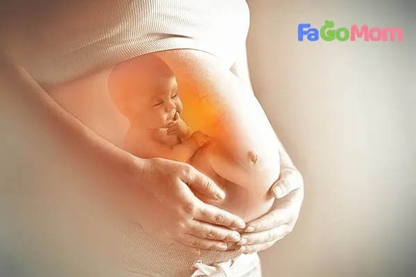 [Rỉ ối khi mang thai] Những điều mẹ bầu nên biết