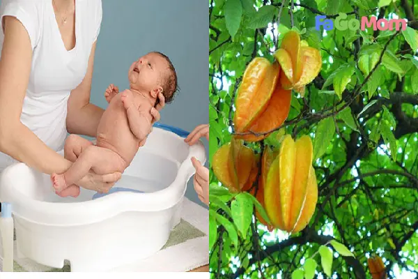 [Hướng dẫn] Cách tắm lá khế cho trẻ sơ sinh an toàn