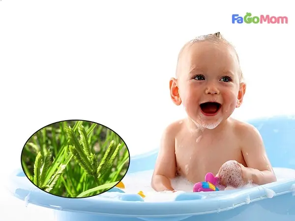 [Chia sẻ] Cách sử dụng cỏ mần trầu tắm cho trẻ sơ sinh