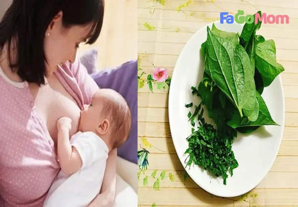 Phụ nữ sau sinh không nên ăn rau gì và nên ăn rau gì?