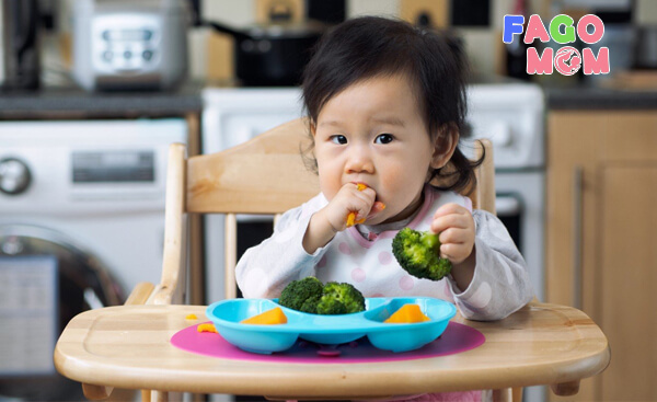 Cân đối chế độ ăn uống hợp lý cho trẻ