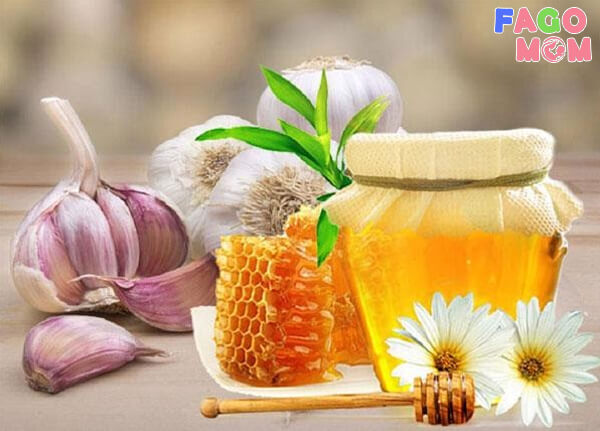Tỏi và mật ong là bài thuốc chữa viêm đường hô hấp rất tốt