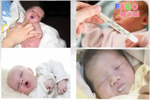 Các biểu hiện của nhiễm trùng phổi ở trẻ sơ sinh
