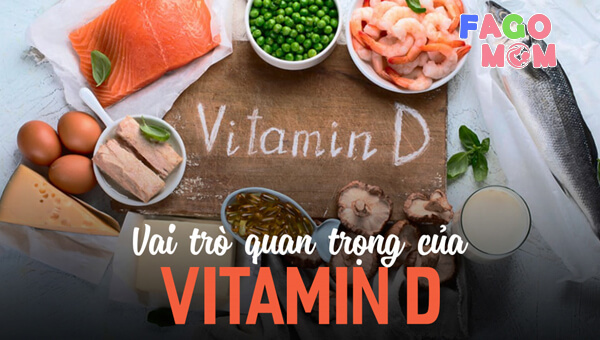 Vai trò quan trọng của Vitamin D với sức khỏe